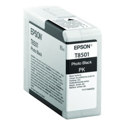 Epson UT8501 Cartouche originale T850100 - Photo Noir