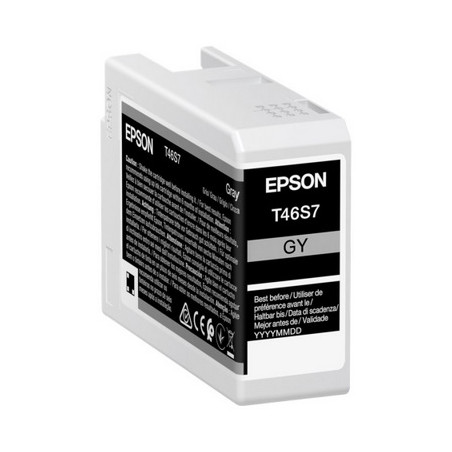 Epson UT46S Cartouche originale C13T46S700 - Gris